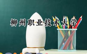2024柳州职业技术大学录取分数线：河南最低295分