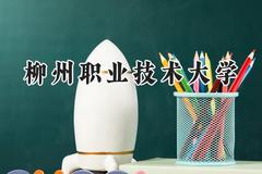 2024柳州职业技术大学录取分数线：河南最低295分