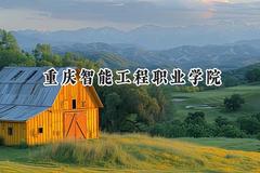 2024重庆智能工程职业学院录取分数线：河南最低166分