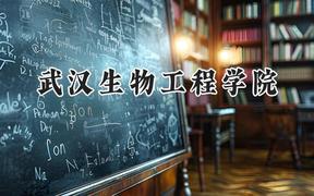 2024武汉生物工程学院录取分数线：云南最低277分