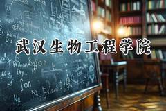 2024武汉生物工程学院录取分数线：云南最低277分
