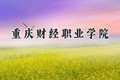 2024重庆财经职业学院录取分数线：云南最低401分
