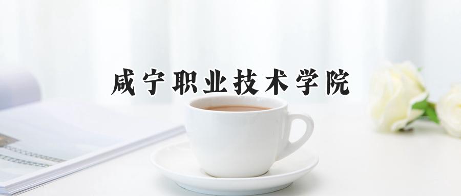 咸宁职业技术学院