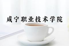 2024咸宁职业技术学院录取分数线：河南最低190分
