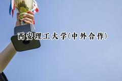 2024西安理工大学(中外合作)录取分数线：河南最低513分
