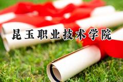 2024昆玉职业技术学院录取分数线：河南最低180分