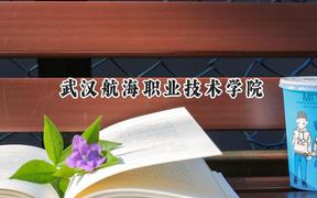 2024武汉航海职业技术学院录取分数线：陕西最低358分