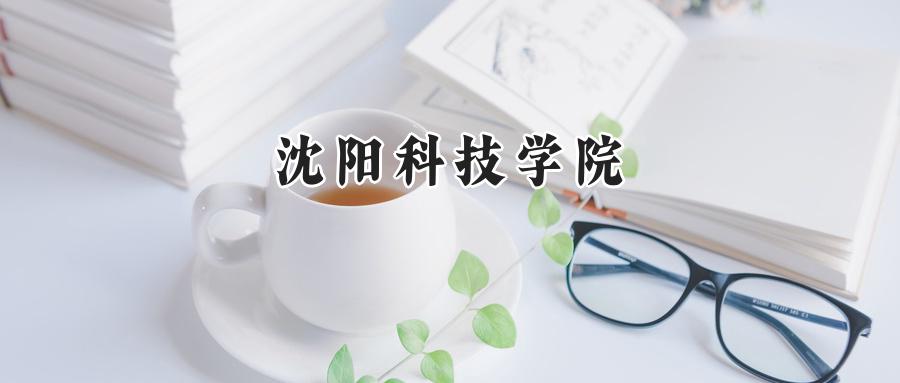 沈阳科技学院