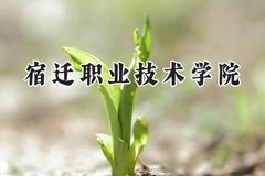 2024宿迁职业技术学院录取分数线：陕西最低308分