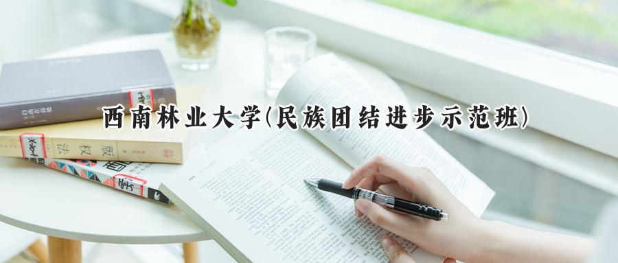 西南林业大学(民族团结进步示范班)