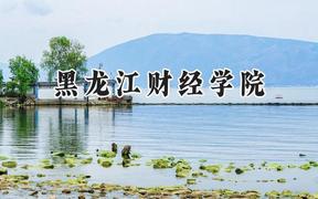 2024黑龙江财经学院录取分数线：陕西最低390分