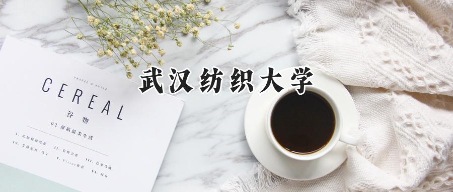 武汉纺织大学