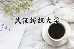 2024武汉纺织大学录取分数线：青海最低384分
