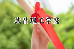 2024武昌理工学院录取分数线：江苏最低464分
