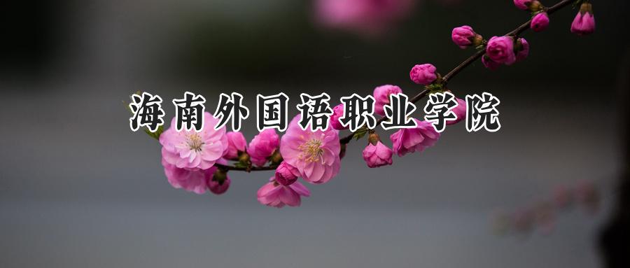 海南外国语职业学院