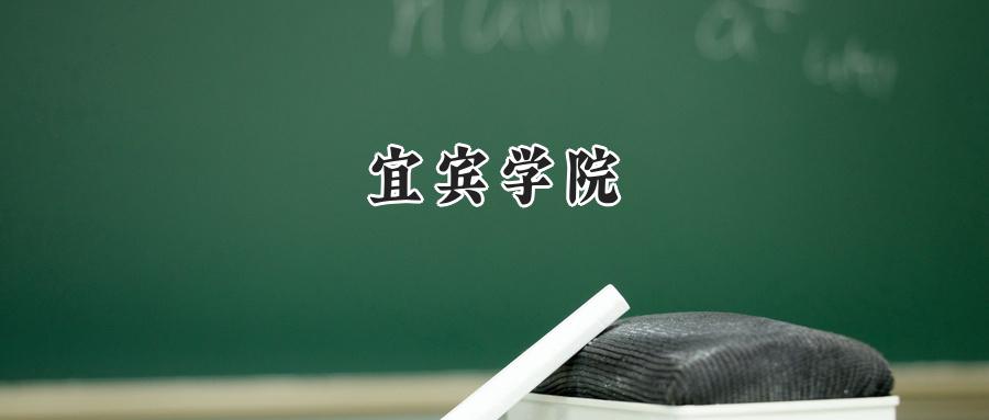 宜宾学院