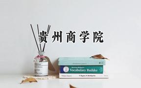 2024贵州商学院录取分数线：江苏最低481分