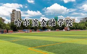 2024哈尔滨金融学院录取分数线：青海最低354分
