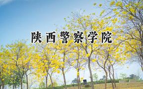 2024陕西警察学院录取分数线：青海最低305分