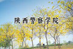 2024陕西警察学院录取分数线：青海最低305分