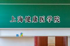 2024上海健康医学院录取分数线：江苏最低535分