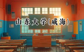 山東大學(xué)(威海)2024在浙江錄取分?jǐn)?shù)線是多少？最低650分/最高660分