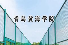 青岛黄海学院2024在辽宁录取分数线是多少？最低269分/最高459分