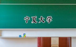 宁夏大学2024在山西录取分数线是多少？最低518分/最高569分