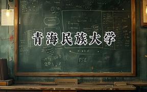 青海民族大学2024在天津录取分数线是多少？最低500分/最高539分