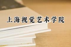 上海视觉艺术学院2024在贵州录取分数线是多少？最低382分/最高458分