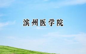滨州医学院2024在浙江录取分数线是多少？最低541分/最高569分