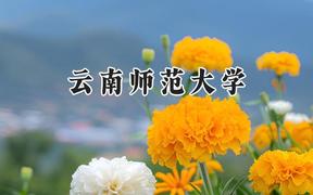 云南师范大学2024在内蒙古录取分数线是多少？最低429分/最高495分