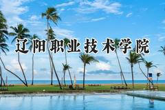 辽阳职业技术学院2024在辽宁录取分数线是多少？最低216分/最高385分