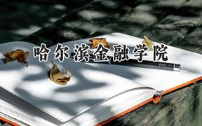 哈尔滨金融学院2024在内蒙古录取分数线是多少？最低389分/最高489分