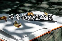 哈尔滨金融学院2024在内蒙古录取分数线是多少？最低389分/最高489分