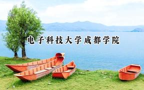 电子科技大学成都学院2024在河北录取分数线是多少？最低328分/最高522分