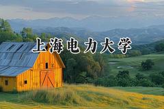 2024上海电力大学录取分数线：青海最低475分