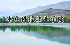 枣庄科技职业学院2024在天津录取分数线是多少？最低109分/最高213分