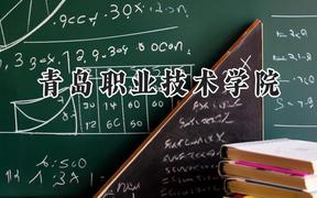 青岛职业技术学院2024在辽宁录取分数线是多少？最低322分/最高428分