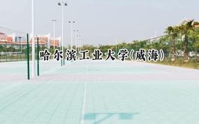 2024哈尔滨工业大学(威海)录取分数线：青海最低557分