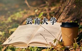 云南大学2024在辽宁录取分数线是多少？最低534分/最高618分