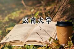 云南大学2024在辽宁录取分数线是多少？最低534分/最高618分