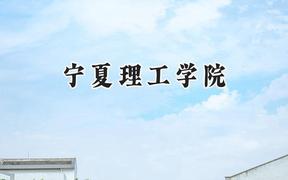2024宁夏理工学院录取分数线：江苏最低462分
