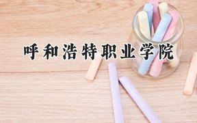 呼和浩特职业学院2024在河北录取分数线是多少？最低349分/最高424分