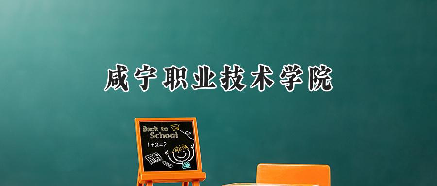咸宁职业技术学院