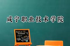 2024咸宁职业技术学院录取分数线：青海最低265分