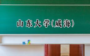 2024山东大学(威海)录取分数线：新疆最低530分