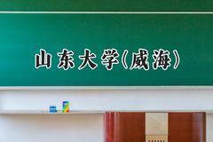 2024山东大学(威海)录取分数线：新疆最低530分