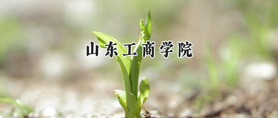 2024山东工商学院录取分数线：宁夏最低410分-第1张图片-索考网