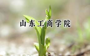 2024山东工商学院录取分数线：宁夏最低410分